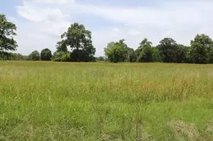 283 Wood Fern Dr, Cleveland, TX 77327 - Photo 21