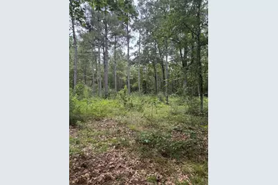 Tbd 13.56 Acres Pr 8725, Woodville, TX 75979 - Photo 9