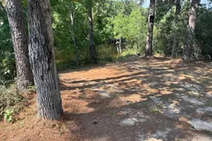 315 Cessna Rd, Trinity, TX 75862 - Photo 7