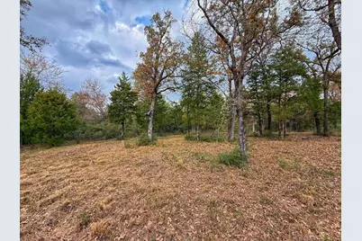 13 Ac Highway 75 North, Buffalo, TX 75831 - Photo 7