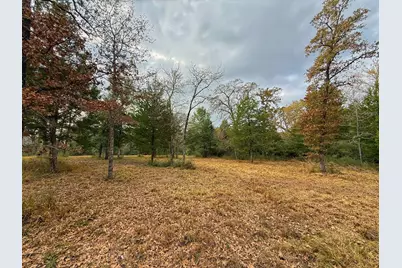 13 Ac Highway 75 North, Buffalo, TX 75831 - Photo 5