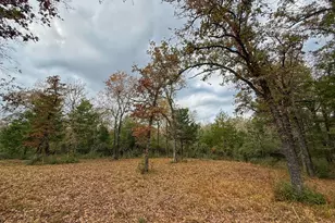 13 Ac Hwy 75 N, Buffalo, TX 75831 - Photo 1