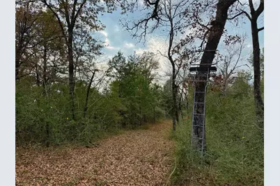 13 Ac Highway 75 North, Buffalo, TX 75831 - Photo 17