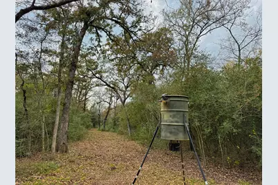 13 Ac Highway 75 North, Buffalo, TX 75831 - Photo 11