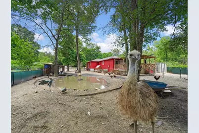 29 County Road 2131 #A, Cleveland, TX 77327 - Photo 19