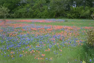 800 Archie Ln, Belton, TX 76513 - Photo 1