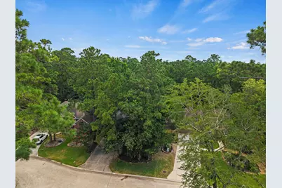54 Wrens Song Place, The Woodlands, TX 77382 - Photo 43