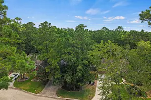 54 Wrens Song Pl, The Woodlands, TX 77382 - Photo 43