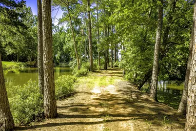 Tbd Pine Circle, Trinity, TX 75862 - Photo 15