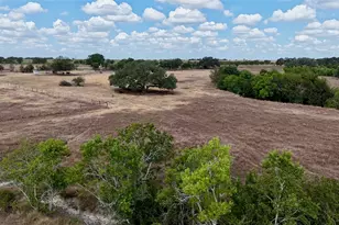 Tract 3 County Road 366, Shiner, TX 77984 - Photo 1
