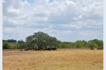 Tract 3 County Road 366, Shiner, TX 77984 - Photo 3