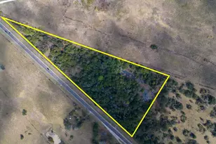 000 Hwy 75, Madisonville, TX 77006 - Photo 1