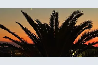 731 Marlin Street, Bayou Vista, TX 77563 - Photo 43