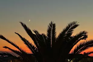 731 Marlin St, Bayou Vista, TX 77563 - Photo 43