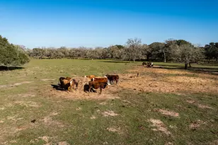 12570 Fm 530, Hallettsville, TX 77964 - Photo 47