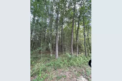 Tbd Greenfield Drive, Montgomery, TX 77303 - Photo 11