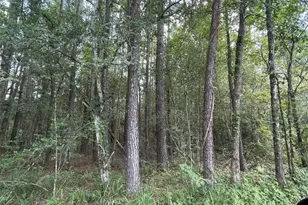 Tbd Greenfield Dr, Montgomery, TX 77303 - Photo 11