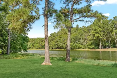 21206 Peach Wood, Cleveland, TX 77328 - Photo 45