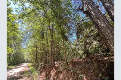 11 Howell Road, Corrigan, TX 75939 - Photo 3