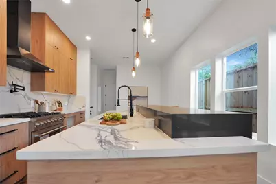 315 Palmer Street, Houston, TX 77003 - Photo 7