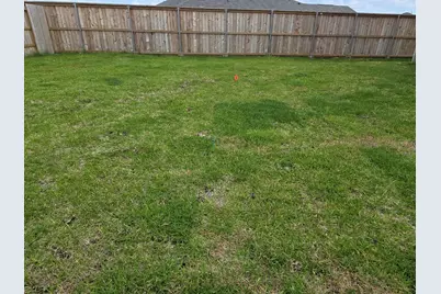 26706 Dalmatian Bellflower Drive, Katy, TX 77493 - Photo 7