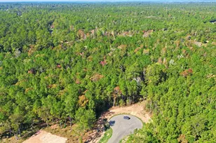 25219 Chisos Bnd, Montgomery, TX 77316 - Photo 13