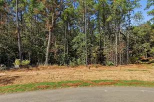 25219 Chisos Bnd, Montgomery, TX 77316 - Photo 3