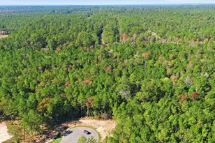 25219 Chisos Bnd, Montgomery, TX 77316 - Photo 5