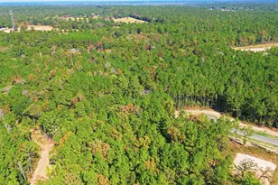 25219 Chisos Bnd, Montgomery, TX 77316 - Photo 11