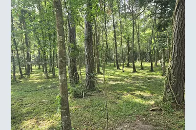 0 Tbd Hwy 150 W, Coldspring, TX 77331 - Photo 11