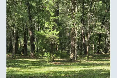 0 Tbd Hwy 150 W, Coldspring, TX 77331 - Photo 15