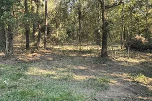 0 Tbd Hwy 150 W, Coldspring, TX 77331 - Photo 1