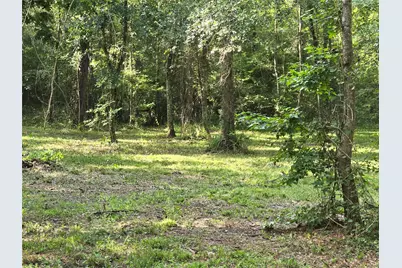 0 Tbd Hwy 150 W, Coldspring, TX 77331 - Photo 5