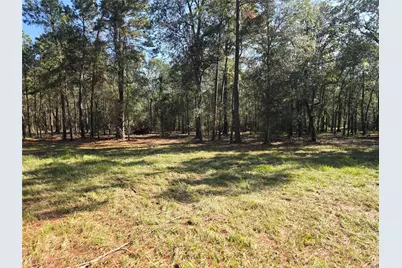 0 Tbd Hwy 150 W, Coldspring, TX 77331 - Photo 7