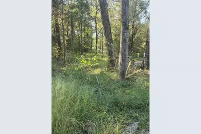 0 Tbd Hwy 150 W, Coldspring, TX 77331 - Photo 3