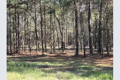 0 Tbd Hwy 150 W, Coldspring, TX 77331 - Photo 9