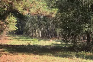 0 Tbd Hwy 150 W, Coldspring, TX 77331 - Photo 1