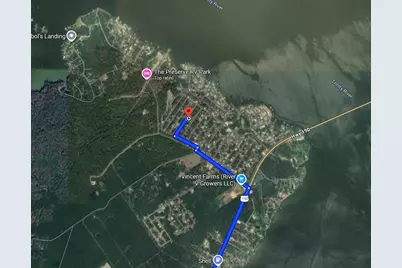 147 Martineque Lane, Point Blank, TX 77364 - Photo 3