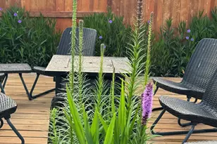 24627 Bardona Way, Richmond, TX 77406 - Photo 25