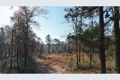 Tbd Baskin Loop, Livingston, TX 77351 - Photo 5