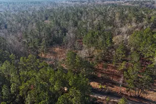 Tbd Baskin Loop, Livingston, TX 77351 - Photo 1