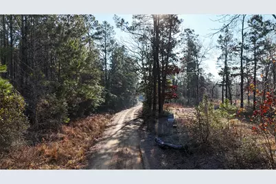 Tbd Baskin Loop, Livingston, TX 77351 - Photo 3