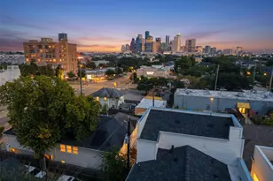1110 Peden St, Houston, TX 77006 - Photo 3