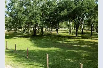 Tbd County Road 911, Brazoria, TX 77422 - Photo 13