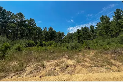 6 County Road 3230, Colmesneil, TX 75938 - Photo 11