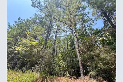 6 County Road 3230, Colmesneil, TX 75938 - Photo 7