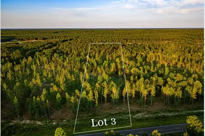 Tbd Lot 3 Fm 1276, Livingston, TX 77351 - Photo 1