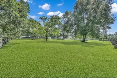 26414 Pin Oak Drive, Magnolia, TX 77354 - Photo 23