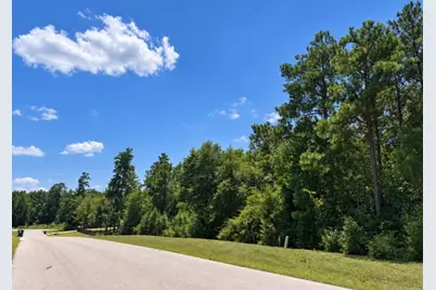 10-27-39 Pyrite Court, Huntsville, TX 77340 - Photo 3