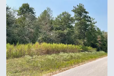 10-27-39 Pyrite Court, Huntsville, TX 77340 - Photo 5